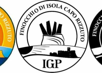 Coldiretti Calabria: il riconoscimento Igp per il finocchio di Isola Capo Rizzuto adesso richiede disponibilità idrica costante