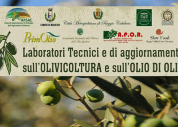 Laboratori Tecnici e di aggiornamento sull’Olivicoltura e sull’Olio, iscrizioni entro il 20 maggio