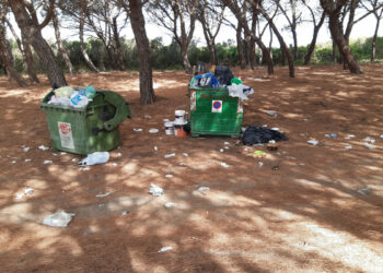 Pineta Cirò Marina: ennesima prova dell’inciviltà di alcuni accompagnata dalla responsabilità di chi non espleta un servizio di raccolta rifiuti