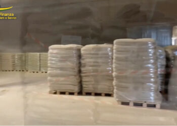 Sequestrate dalla Guardia di Finanza 5 mila tonnellate di pellet contraffatto: 52 fornitori denunciati