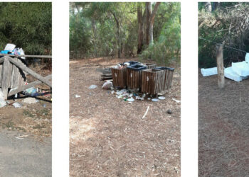 Cirò Marina: vergognosa situazione della pineta aggravatasi a causa non solo dei nostri concittadini, ma soprattutto dei turisti arrivati