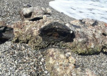 Due sub amatoriali trovano un importante reperto archeologico in zona Cervara di Cirò Marina