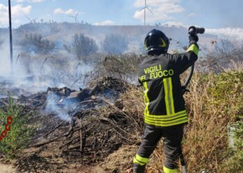 Incendio adiacente Capannoni in località Papaniciaro, intervengono i Vigili del Fuoco di Crotone e Cirò Marina