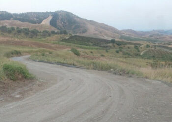Al via la manutenzione strada provinciale Sp10 la Cirò-Vallo in zona Campanise, consentirà ai viticoltori di vendemmiare in sicurezza