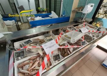 GDF Roan Vibo Valentia: fermo pesca, raffica di controlli e sequestri