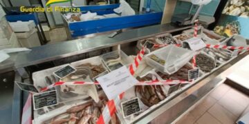 GDF Roan Vibo Valentia: fermo pesca, raffica di controlli e sequestri