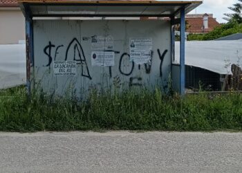 Crotone, condizioni degradate delle pensiline degli autobus: richiesta di intervento urgente