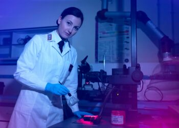 Concorso per 17 ufficiali del ruolo tecnico dell’Arma dei Carabinieri