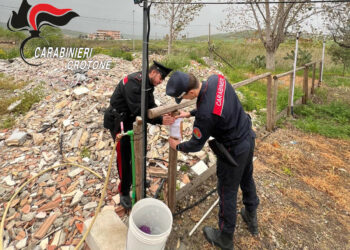 Crotone, rifiuti edili su area privata: scatta il sequestro dei Carabinieri