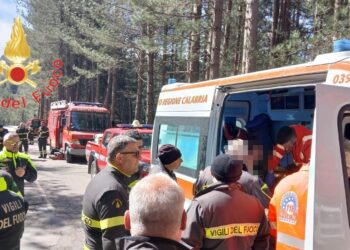 Disperso nei boschi della Sila, 32enne ucraino ritrovato sano e salvo dopo una notte di ricerche