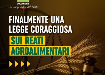 Made in Italy: Coldiretti Calabria, soddisfazione per via libera legge Caselli per reati agroalimentari a difesa delle aziende