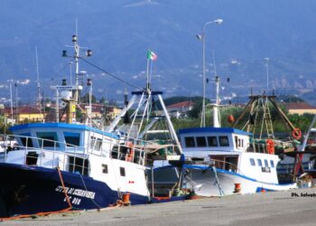 Giornata mondiale del mare, il Comitato Pescatori Calabria: “Serve una strategia per rilanciare la fascia costiera e l’economia ittica”