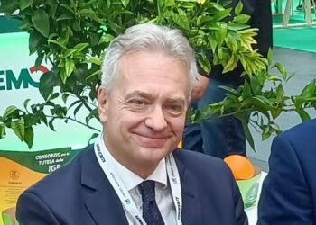 Campagna vitivinicola 2025/2026, pubblicato l’Avviso per gli investimenti OCM Vino. Gallo: “Al via erogazione anticipi per ristrutturazione e riconversione dei vigneti”