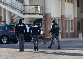 Crotone, bambina azzannata da un cane: denunciata la proprietaria