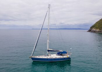 Bycatch: l’ora della verità, il Circolo Ibis in azione per salvare il mare