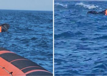 Cirò Marina e Crotone, doppio intervento della Guardia Costiera: soccorso un kitesurfer e assistita una barca a vela in avaria