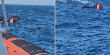 Cirò Marina e Crotone, doppio intervento della Guardia Costiera: soccorso un kitesurfer e assistita una barca a vela in avaria