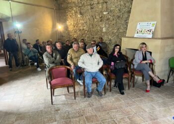 Corridoi lavorativi, strumento chiave per l’agricoltura e l’inclusione: grande partecipazione all’incontro promosso dal Gal Kroton