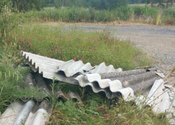 Cirò, 15 lastre di eternit abbandonate nell’area protetta della Marinella: allarme per la salute pubblica e l’ambiente