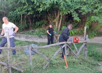 Nuova area verde a Cirò Marina: l’Associazione IDEA cura l’aiuola con la rara astragalus boeticus scoperta dal botanico De Fine