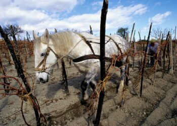 Il Gal Kroton contro il “suicidio assistito” delle aree interne: serve una strategia per rilanciare territori e comunità