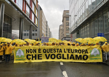 PAC, Coldiretti Calabria: “No al fondo unico UE, è un rischio per l’agricoltura produttiva”