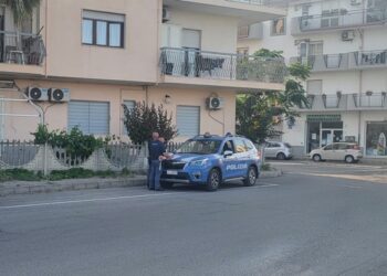 Controlli straordinari della Polizia a Cirò e Cirò Marina: identificate 348 persone, sanzioni e denunce