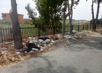 Tufolo-Farina, il Comitato chiede al Comune l’istituzione di guardie ecologiche a supporto della vigilanza sulla raccolta differenziata