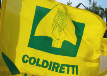 Decreto Flussi: Coldiretti Calabria plaude al provvedimento, ma chiede lo stop al click day per sostenere davvero l’agricoltura