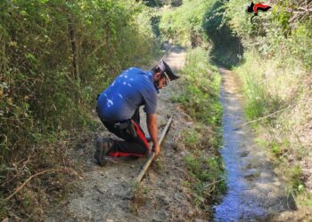 Petilia Policastro: furto aggravato d’acqua, scoperto allaccio abusivo di 2 km alla rete idrica. Un denunciato