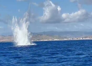 Brillamento in mare a Cirò Marina: neutralizzati ordigni bellici della Seconda Guerra Mondiale al largo di Punta Alice