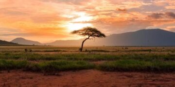 Kenya: viaggio tra savana, oceano e cultura swahili