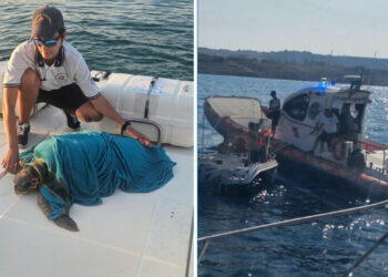 Guardia Costiera di Crotone: salvataggio di dieci persone e una tartaruga Caretta caretta durante operazioni di soccorso in mare