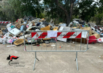 Petilia Policastro: controlli dei Carabinieri su lavoro e ambiente, sanzioni e un’area comunale sequestrata