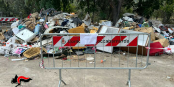 Petilia Policastro: controlli dei Carabinieri su lavoro e ambiente, sanzioni e un’area comunale sequestrata