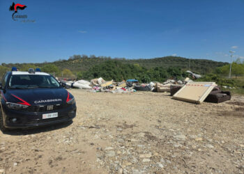 Petilia Policastro: scoperta discarica abusiva, sei persone denunciate dai Carabinieri per abbandono illecito di rifiuti