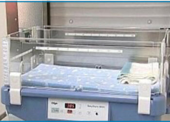 Rocca: “Plauso a Marisa Luana Cavallo per l’impegno sulla Culla per la Vita a Crotone”