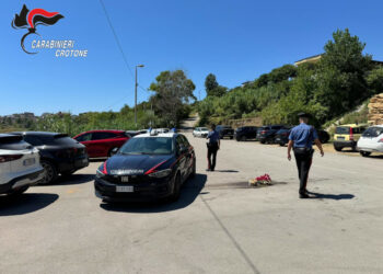 Rissa alle Cannella: convalidati gli arresti e disposta la custodia cautelare in carcere per cinque persone