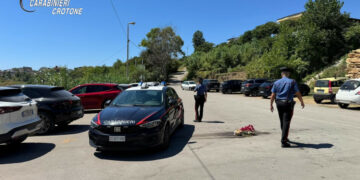 Rissa alle Cannella: convalidati gli arresti e disposta la custodia cautelare in carcere per cinque persone