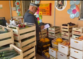 Sequestrate due tonnellate di frutta e verdura abusivamente vendute, donate in beneficenza