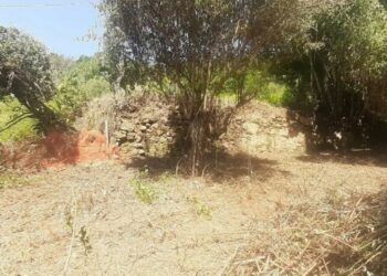 Ad Amaroni riaffiorano le mura dell’antica Abbazia di San Nicola delle Maliole fondata da San Luca di Melicuccà