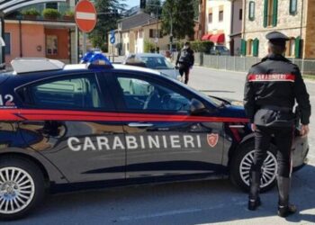 Cotronei, controlli nel settore agricolo: denunciato un imprenditore, sanzioni per oltre 19mila euro e attività sospesa