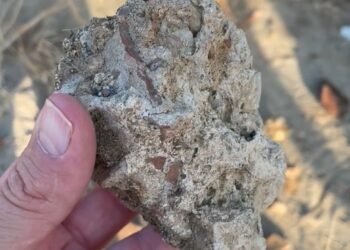 Calopezzati: sopralluogo alla Villa Romana di Gadice, il circolo sollecita fondi per tutela e valorizzazione