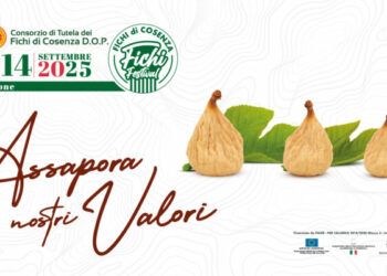 Quarta edizione del Fichi Festival: Cosenza celebra la sua eccellenza Dop