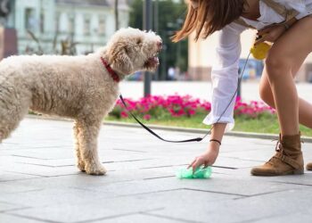 Cirò, nuova ordinanza contro l’inciviltà: obbligo di raccolta deiezioni canine e sanzioni fino a 500 euro
