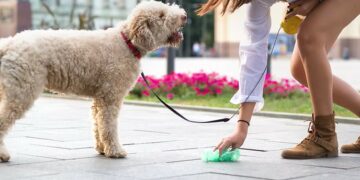 Cirò, nuova ordinanza contro l’inciviltà: obbligo di raccolta deiezioni canine e sanzioni fino a 500 euro