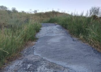 Cirò, manutenzione straordinaria delle stradette interpoderali: interventi da 20mila euro per sostenere l’agricoltura e la vendemmia