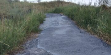 Cirò, manutenzione straordinaria delle stradette interpoderali: interventi da 20mila euro per sostenere l’agricoltura e la vendemmia