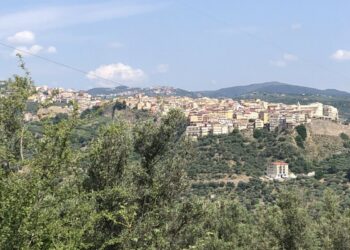 Regione approva graduatoria per investimenti in infrastrutture agricole e sviluppo rurale: a Petilia Policastro 150 mila euro