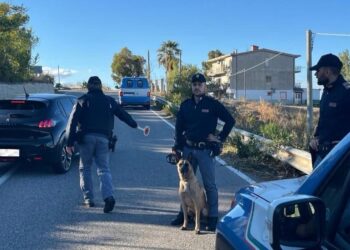 Crotone e Papanice: controlli straordinari della Polizia di Stato, denunciate due persone e sequestrata cocaina